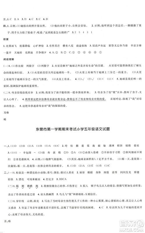 江西教育出版社2022阳光同学课时优化作业五年级语文上册五四专用答案