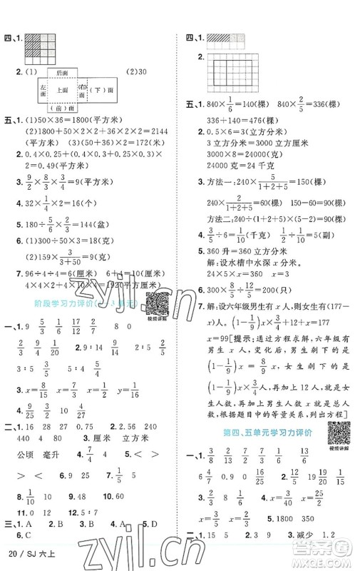 江西教育出版社2022阳光同学课时优化作业六年级数学上册SJ苏教版答案