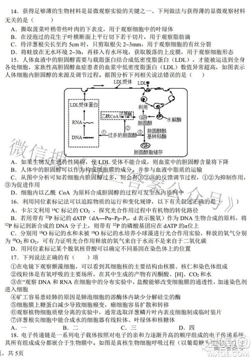 郑州四中2022-2023学年高三上学期第一次调研考试化学试题及答案