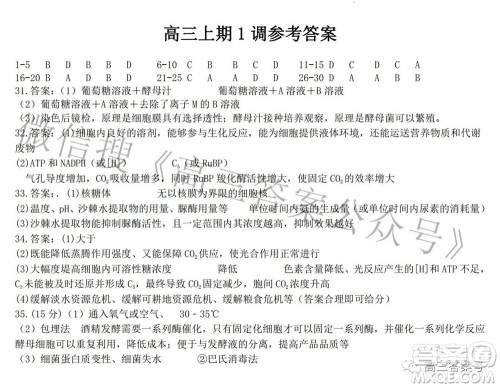 郑州四中2022-2023学年高三上学期第一次调研考试化学试题及答案