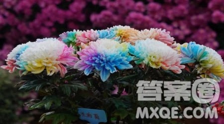 我爱四季作文400字 以我爱四季为题作文400字 我爱四季作文400字 以我爱四季为题作文400字