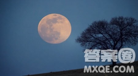 写月夜的小学生作文400字 关于写月夜的小学生作文400字