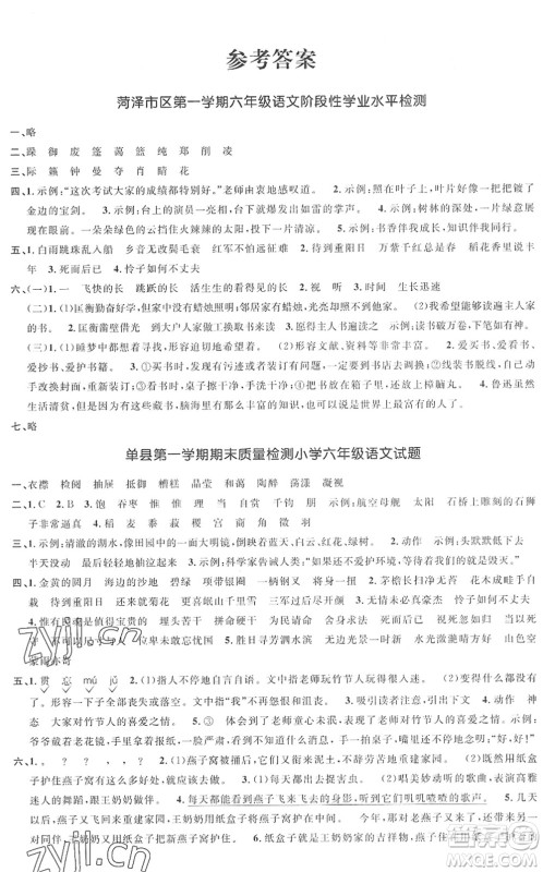 江西教育出版社2022阳光同学课时优化作业六年级语文上册RJ人教版菏泽专版答案