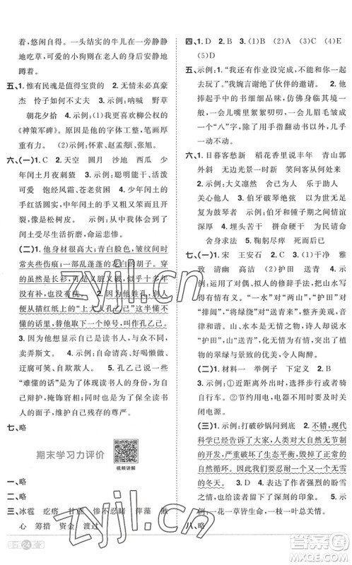 江西教育出版社2022阳光同学课时优化作业六年级语文上册RJ人教版菏泽专版答案