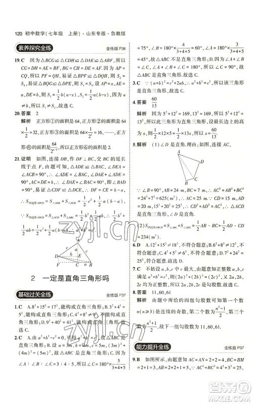 教育科学出版社2023年5年中考3年模拟七年级上册数学鲁教版山东专版参考答案