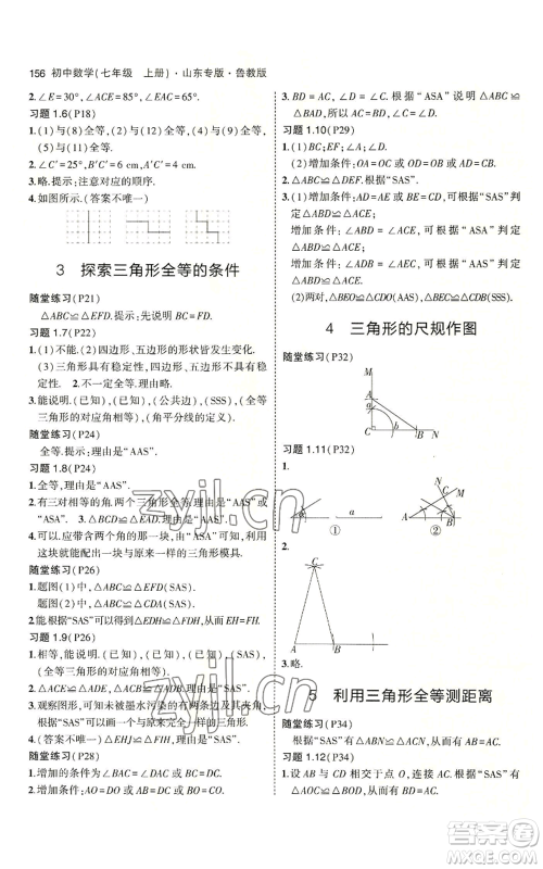 教育科学出版社2023年5年中考3年模拟七年级上册数学鲁教版山东专版参考答案