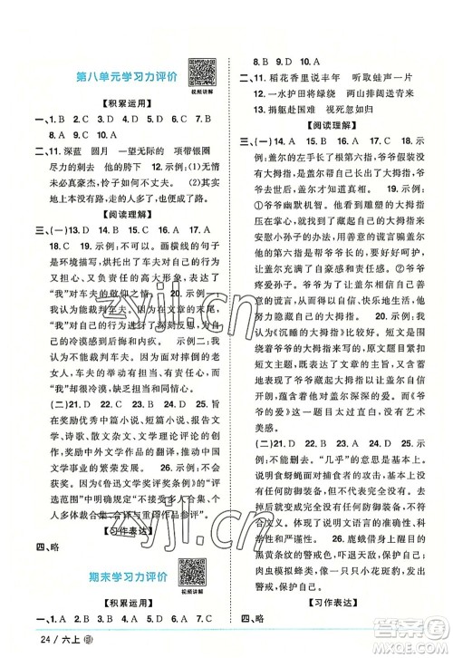 福建少年儿童出版社2022阳光同学课时优化作业六年级语文上册福建专版答案 福建少年儿童出版社2022阳光同学课时优化作业六年级语文上册福建专版答案