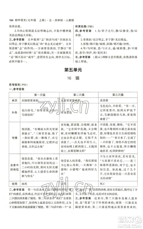 首都师范大学出版社2023年5年中考3年模拟五四学制七年级上册语文人教版参考答案