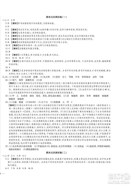 河北大学出版社2022黄冈全优AB卷生物七年级上册济南版答案 河北大学出版社2022黄冈全优AB卷生物七年级上册济南版答案