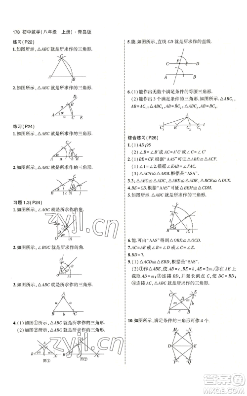 首都师范大学出版社2023年5年中考3年模拟八年级上册数学青岛版参考答案