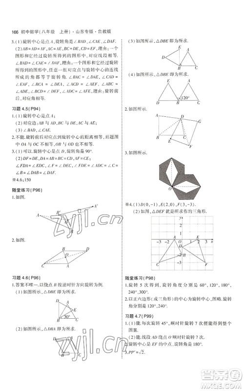 教育科学出版社2023年5年中考3年模拟八年级上册数学鲁教版山东专版参考答案