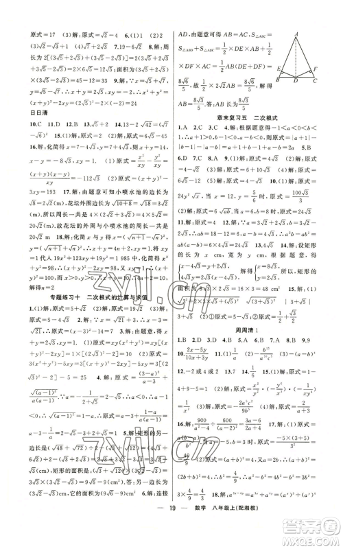 新疆青少年出版社2022四清导航八年级上册数学湘教版参考答案