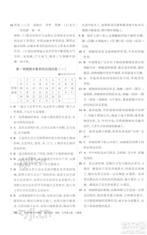 教育科学出版社2022秋季5年中考3年模拟初中试卷七年级上册生物人教版参考答案 教育科学出版社2022秋季5年中考3年模拟初中试卷七年级上册生物人教版参考答案