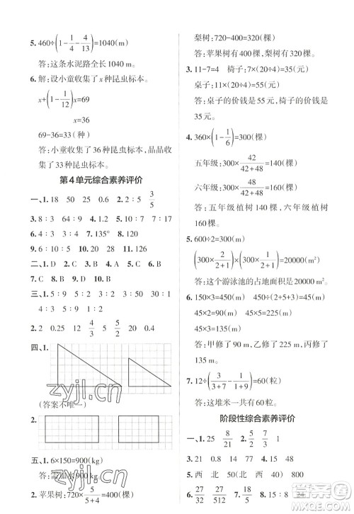 陕西师范大学出版总社2022PASS小学学霸作业本六年级数学上册RJ人教版广东专版答案