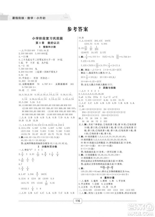 宁波出版社2022名师派暑假衔接小升初数学通用版答案