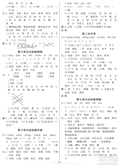 阳光出版社2022名师面对面大试卷语文一年级上册人教版答案 阳光出版社2022名师面对面大试卷语文一年级上册人教版答案
