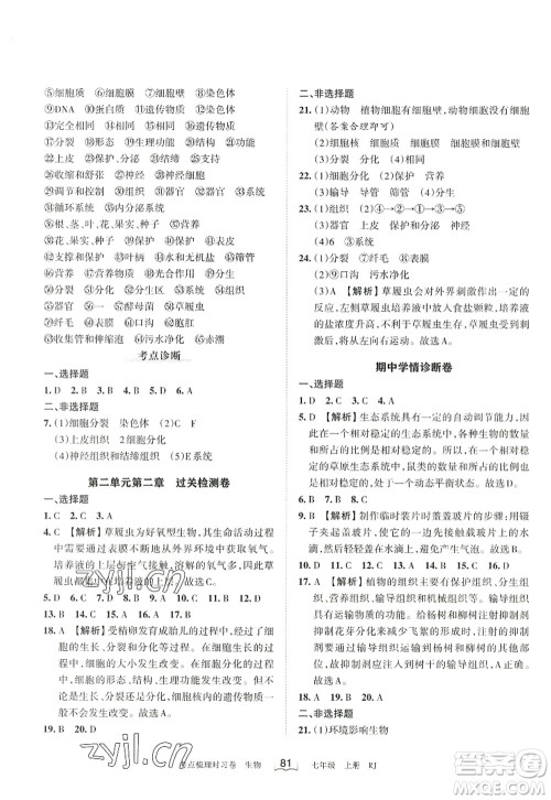 江西人民出版社2022王朝霞考点梳理时习卷七年级生物上册RJ人教版答案 江西人民出版社2022王朝霞考点梳理时习卷七年级生物上册RJ人教版答案