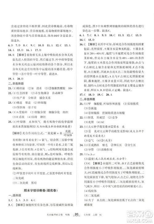 江西人民出版社2022王朝霞考点梳理时习卷七年级生物上册RJ人教版答案 江西人民出版社2022王朝霞考点梳理时习卷七年级生物上册RJ人教版答案