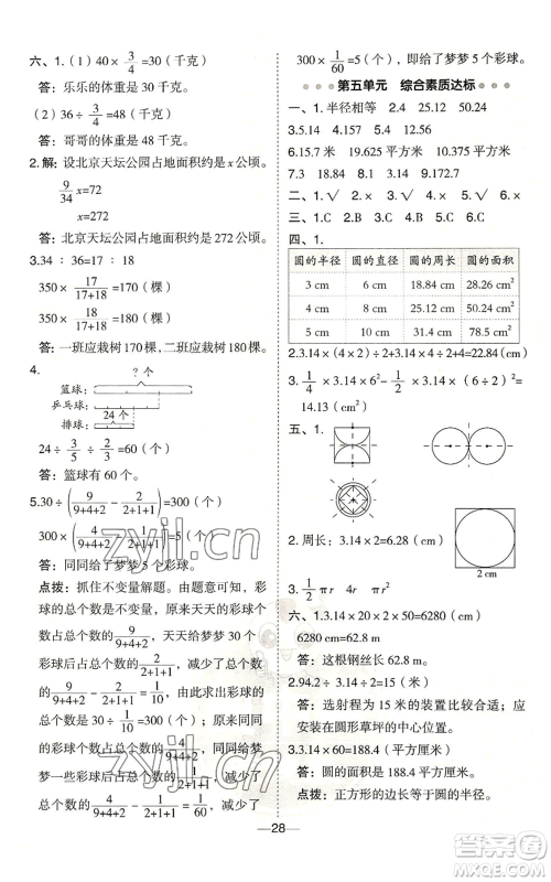 吉林教育出版社2022秋季综合应用创新题典中点六年级上册数学青岛版参考答案