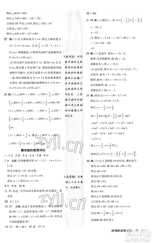 陕西人民教育出版社2022秋季综合应用创新题典中点提分练习册七年级上册数学人教版参考答案