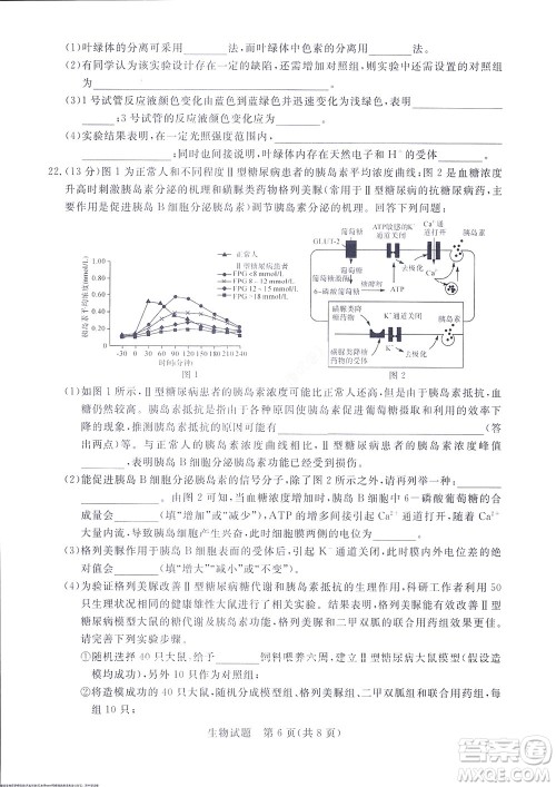 2023届河南省高三新未来8月联考生物试题及答案