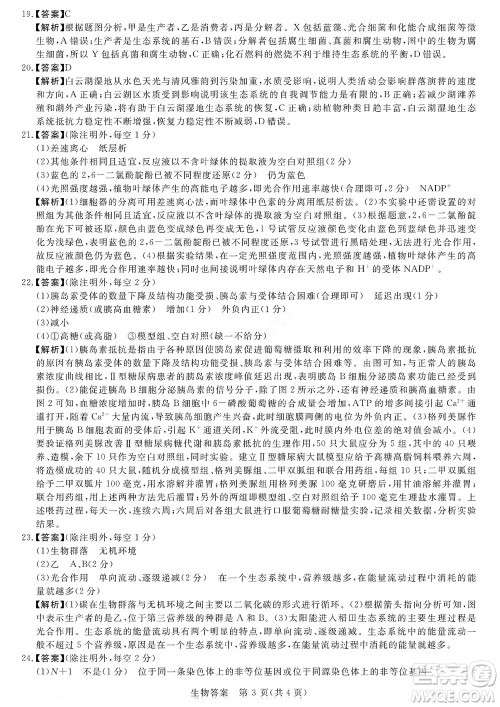 2023届河南省高三新未来8月联考生物试题及答案