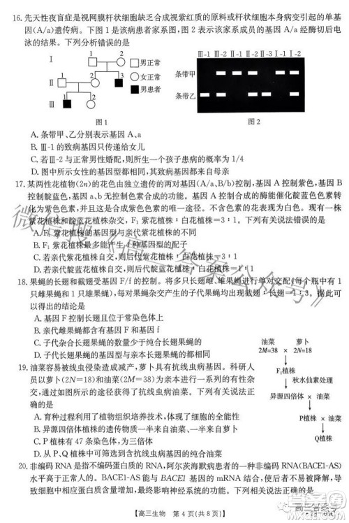 2022-2023年度河南省高三年级入学摸底考试一生物试题及答案