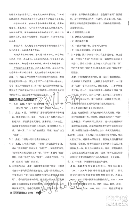 陕西人民教育出版社2022秋季综合应用创新题典中点提分练习册八年级上册语文人教版参考答案