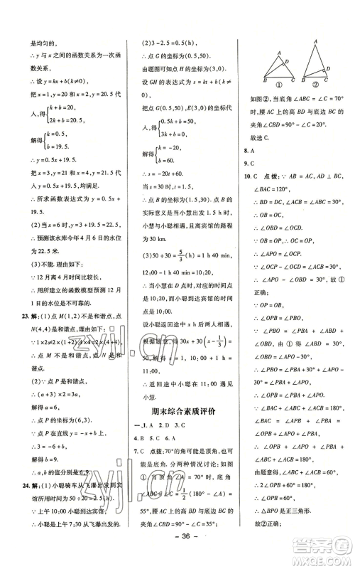 陕西人民教育出版社2022秋季综合应用创新题典中点提分练习册八年级上册数学浙教版A本参考答案