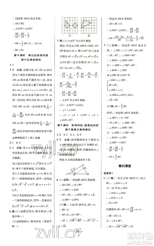 陕西人民教育出版社2022秋季综合应用创新题典中点提分练习册九年级上册数学沪科版参考答案 陕西人民教育出版社2022秋季综合应用创新题典中点提分练习册九年级上册数学沪科版参考答案