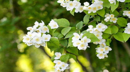 把奋斗写进青春里作文600字 关于把奋斗写进青春里为题目作文600字 把奋斗写进青春里作文600字 关于把奋斗写进青春里为题目作文600字