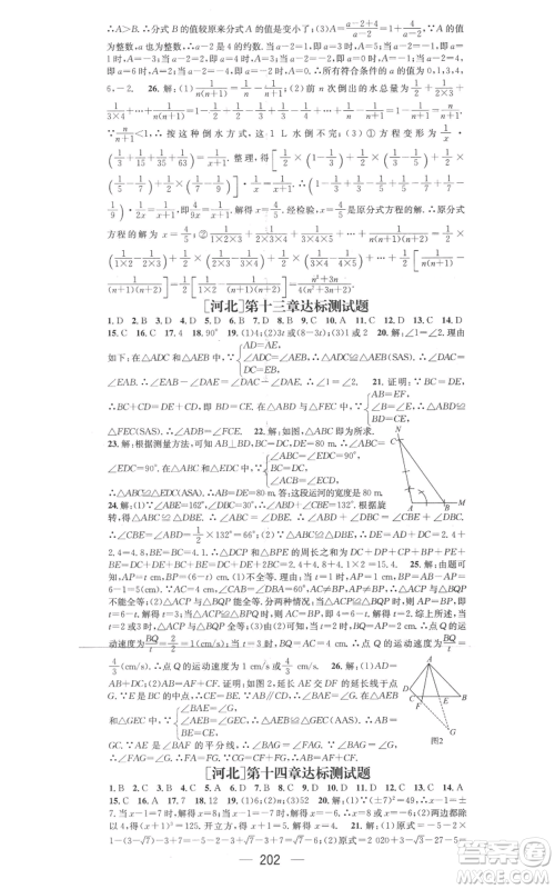 武汉出版社2022秋季名师测控八年级上册数学冀教版河北专版参考答案