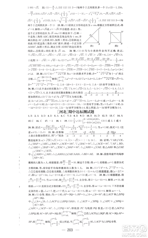 武汉出版社2022秋季名师测控八年级上册数学冀教版河北专版参考答案