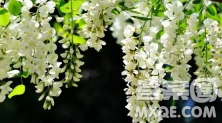 夏日里的一道风景作文600字 关于夏日里的一道风景的作文600字