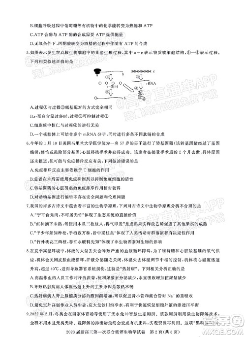 湖北省高中名校联盟2023届新高三第一次联合测评生物学试题及答案 湖北省高中名校联盟2023届新高三第一次联合测评生物学试题及答案