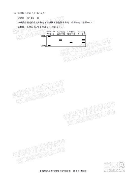 湖北省高中名校联盟2023届新高三第一次联合测评生物学试题及答案 湖北省高中名校联盟2023届新高三第一次联合测评生物学试题及答案