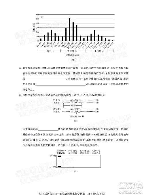 湖北省高中名校联盟2023届新高三第一次联合测评生物学试题及答案 湖北省高中名校联盟2023届新高三第一次联合测评生物学试题及答案