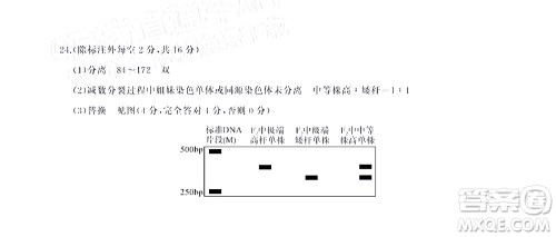 湖北省高中名校联盟2023届新高三第一次联合测评生物学试题及答案 湖北省高中名校联盟2023届新高三第一次联合测评生物学试题及答案
