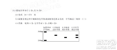 湖北省高中名校联盟2023届新高三第一次联合测评生物学试题及答案