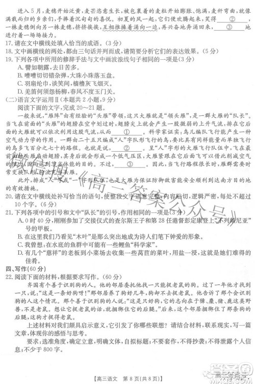 2023届贵州省金太阳高三年级联合考试语文试题及答案 2023届贵州省金太阳高三年级联合考试语文试题及答案