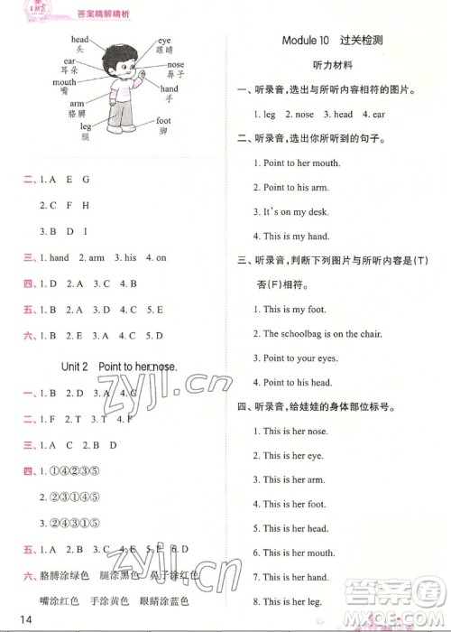江西人民出版社2022王朝霞创维新课堂英语三年级上册WY外研版答案
