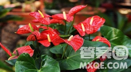 是___让我懂得了坚持作文600字 关于是___让我懂得了坚持的作文600字