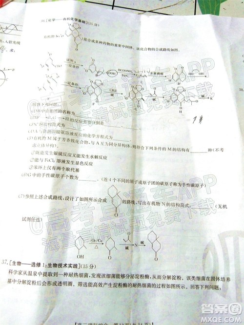 2023届贵州省金太阳高三年级联合考试理科综合试题及答案 2023届贵州省金太阳高三年级联合考试理科综合试题及答案