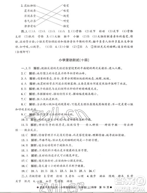 浙江工商大学出版社2022孟建平小学滚动测试科学五年级上教科版答案 浙江工商大学出版社2022孟建平小学滚动测试科学五年级上教科版答案