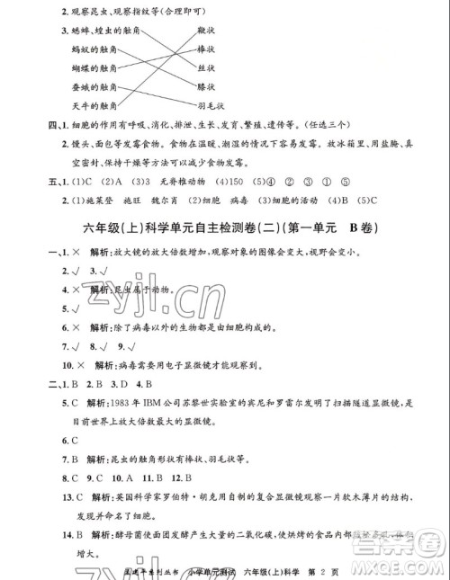 浙江工商大学出版社2022孟建平小学单元测试科学六年级上教科版答案 浙江工商大学出版社2022孟建平小学单元测试科学六年级上教科版答案