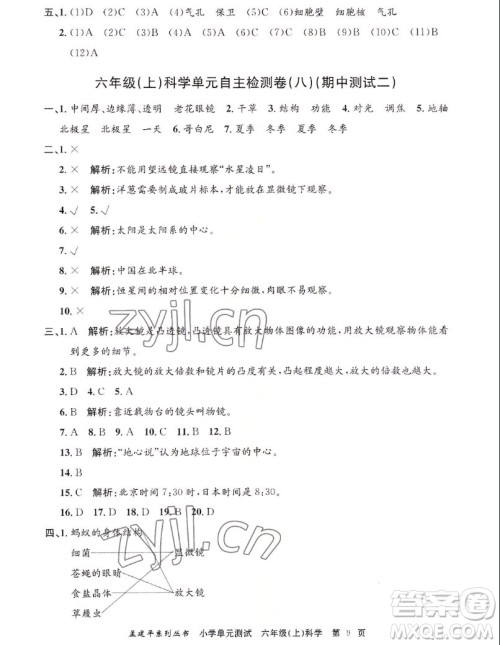 浙江工商大学出版社2022孟建平小学单元测试科学六年级上教科版答案 浙江工商大学出版社2022孟建平小学单元测试科学六年级上教科版答案