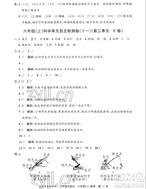 浙江工商大学出版社2022孟建平小学单元测试科学六年级上教科版答案 浙江工商大学出版社2022孟建平小学单元测试科学六年级上教科版答案