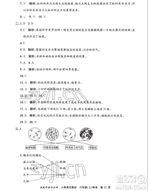 浙江工商大学出版社2022孟建平小学单元测试科学六年级上教科版答案 浙江工商大学出版社2022孟建平小学单元测试科学六年级上教科版答案