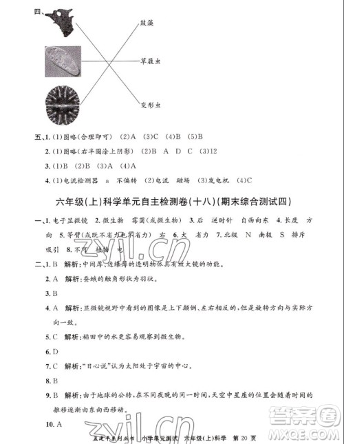浙江工商大学出版社2022孟建平小学单元测试科学六年级上教科版答案 浙江工商大学出版社2022孟建平小学单元测试科学六年级上教科版答案