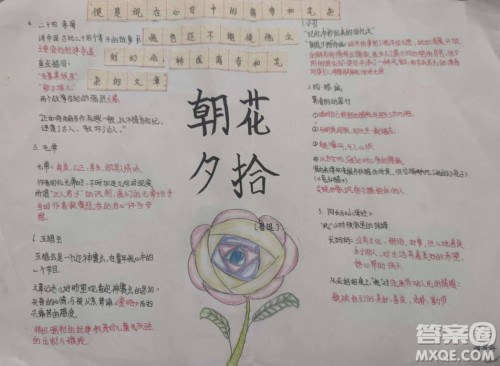 朝花夕拾思维导图七年级 关于朝花夕拾的思维导图图片清晰 朝花夕拾思维导图七年级 关于朝花夕拾的思维导图图片清晰